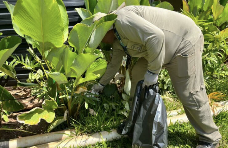 Imagem de compartilhamento para o artigo MS registra 42 casos confirmados de dengue da MS Todo dia